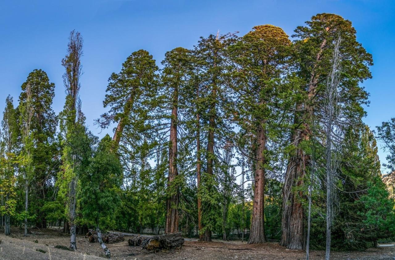 La Noguera Casa Rural Huéscar Zewnętrze zdjęcie